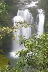 Cascade à Rara Avis Costa Rica
