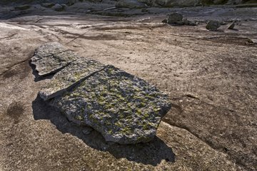 Morainic stone in mountain Area of Jotunheim Norway