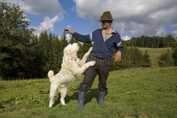 Hirtener und sein Hund Anti-Wolf und Anti-Beer spielen Rumänien