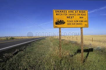 Road sign for the protection of snakes Alberta Canada