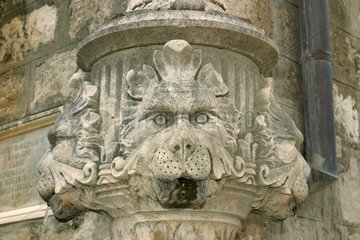 Löwenkopf eines Altstadtbrunnens Dubrovnik Croatie