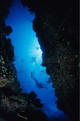 Divers swimming over a cave Exuma Bahamas