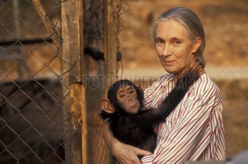 Portrait de Jane Goodall tenant un chimpanzé Gombe Tanzanie