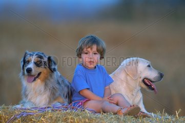 Little girl sit down on a straw stack with her dogs