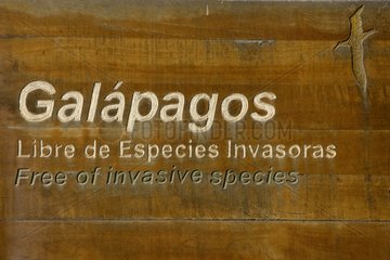 Panel auf invasiven Arten Galapagos -Inseln