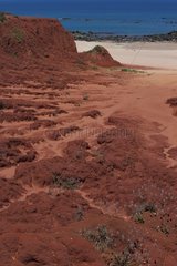 Erosion of a laterite coast Australia