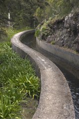 Levada Traditionelle Kanalbewässerung Madeira