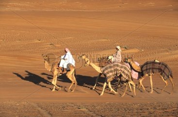 Karawane der Dromedäre Wüste von Wahiba Sultanat aus Oman