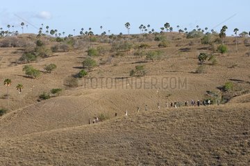 Tourists on Komodo National Park Rinca Indonesia