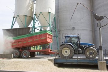 Livraison de céréales à la coopérative et pesée