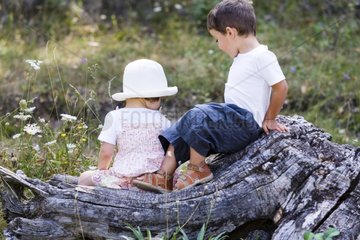 Girl and boy sitting on a stump Provence France