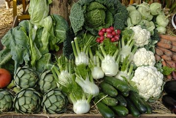 Display of vegetables on a market bench