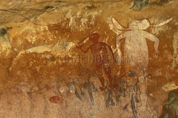 Cave paintings aboriginals bradshaw and wandjina
