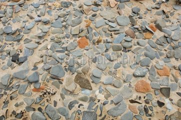 Steine â€‹â€‹im Sand eines Strandes Surtainville Frankreich