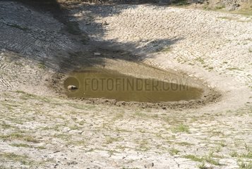 Dried puddle in Larzac France