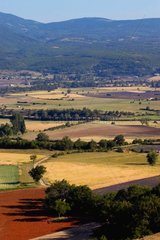 Sault Plateau in der Sommerprovence Frankreich