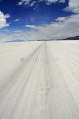 Trail in Salar Uyuni Altiplano of Bolivia