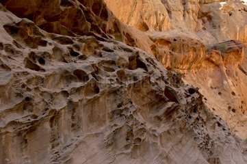 Falaise érodée par les intempéries dans un canyon