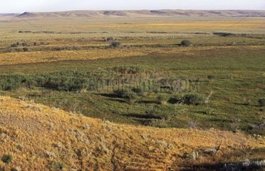 Grasslands National Park Saskatchewan Canada