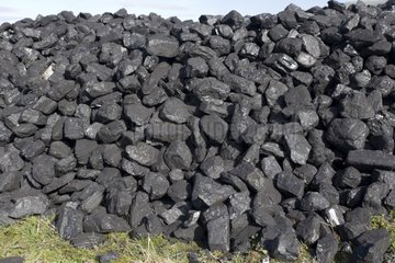 Pile of coal at Steam Engine Rally Cheltenham Racecourse UK
