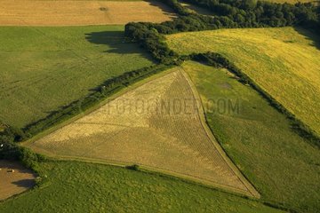 Aerial view of reaped field Aquitaine France