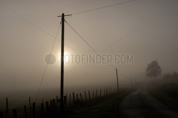 Countryside in the fog in summer Bretagne France