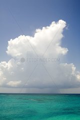 Cloud in the blue sky of the Caribbean Sea Mexico