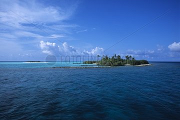 Insel mit einer Lagune in einer Landschaft der Malediven