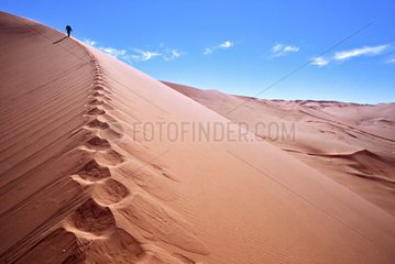Rise of dunes in the desert of Namib Namibia