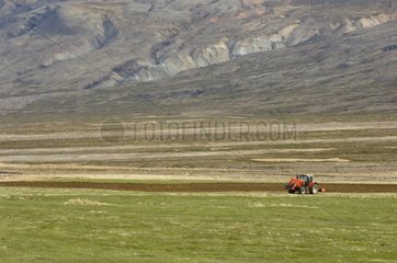 Tractor in a field near Breiddalswik Iceland