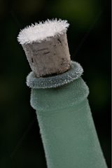 Frosted glass bottle
