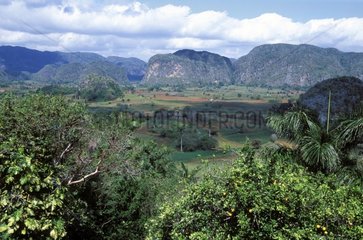 Mogotes Valley of Vinales Cuba [AT]