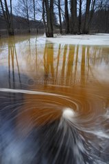 Vortices in a river Bialowieza Poland
