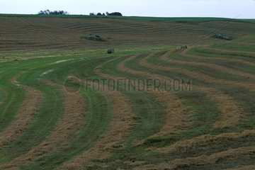 Traces of mowing in S in a field in summer Canada