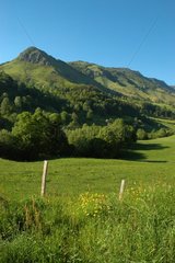 Wiese in der PNG von Auvergne -Vulkanen in Cantal