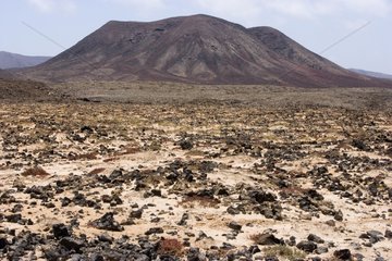 Trockene Landschaft des Zentrums von Fuerteventura Canary