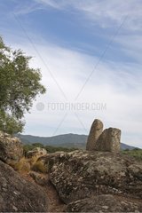 Statue-Menhir Filitosa Korsika Frankreich