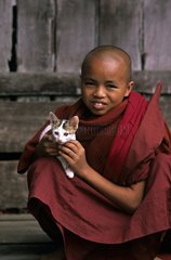 Kitten on a young monk Burma