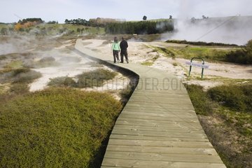 Craters of the Moon thermal area New Zealand