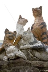 Statuen von Katzen Symbolen der Hauptstadt Kuching von Borneo