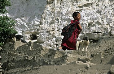 Junge Mönch und Hundekloster Thiksey Leh India