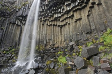 Basalt organ pipes of Svartifoss falls Iceland