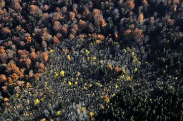 Air shot of a temperate forest in the Doubs in autumn