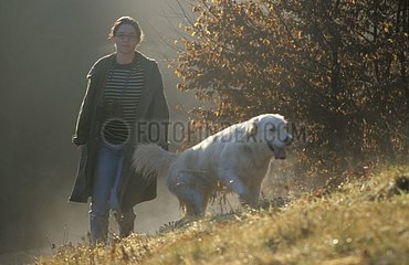Chien et jeune femme se promenant en automne