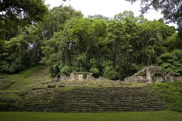 Temples Mayas ruins in the tropical forest Mexico