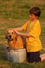 Kind waschen einen goldenen Retriever