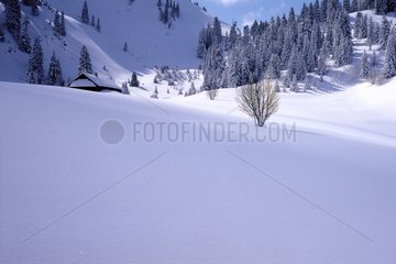 Bergweide von PÃ©tÃ©toz im Winter Haute-Savoie Frankreich