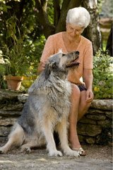 Alter Hund mit seiner Geliebten Frankreich
