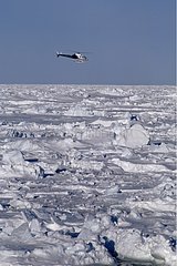 Helicopter to the top of the ice-barrier Antarctic