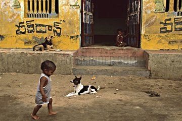 Kinder spielen und Hunde in Ruhe vor der Habitat -HaustÃ¼r